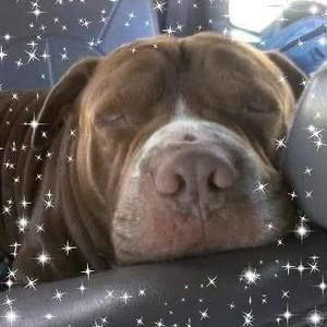 Meet your Posher, Katrina